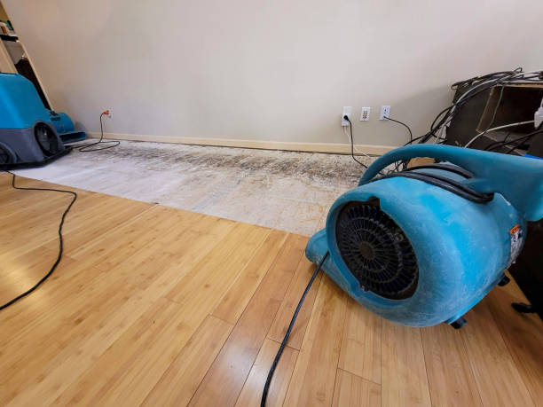 Professional Basement Flood Cleanup technician working in West Middlesex, PA